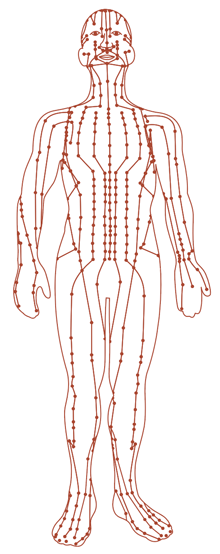 Acupuncture Meridians